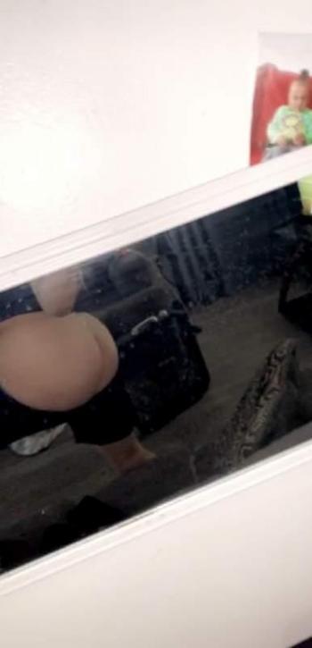 1806516789, transgender escort, Lubbock